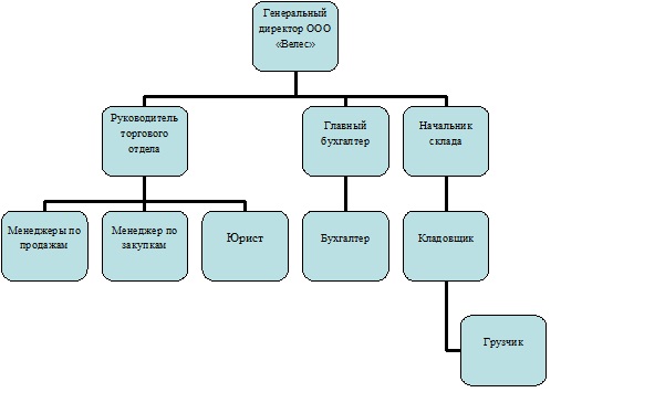 Дипломная работа: Оценки эффективности управления дебиторской и кредиторской задолженностью организации